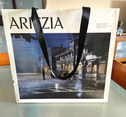 Aritzia retail shopping bag - shopping,