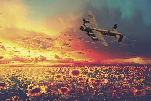 Avro lancaster over sunset - over,