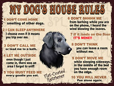 My dog's house rules