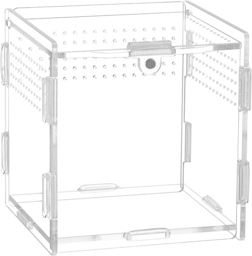 Qwork reptile acrylic - reptile,
