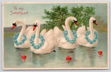 To My Sweetheart Swan Wear