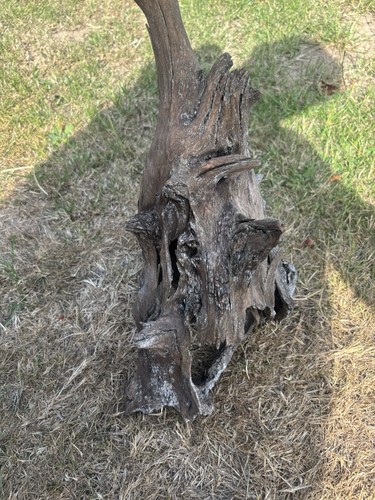 Aquarium driftwood - aquarium,
