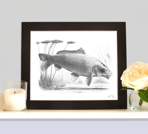 Ghost carp fishing art drawing - fishing,