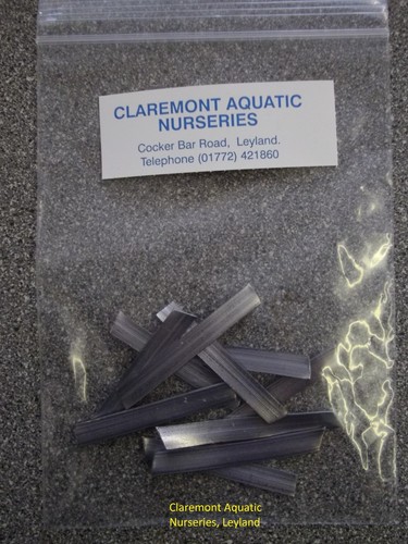 Lead weights suitable - x, for