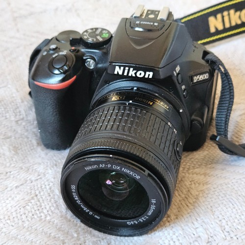 Nikon d5600 dslr - nikon,