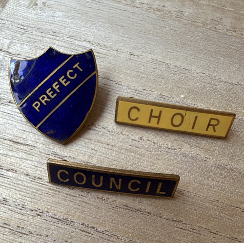 School university enamel - enamel, pin