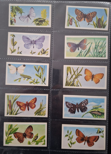 Rare vintage 1965 - rare,