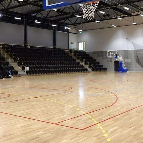 Basketball court flooring - basketball,