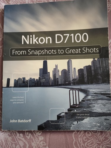 Nikon d7100 from snapshots to - nikon,