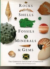 Rocks, Shells, Fossils