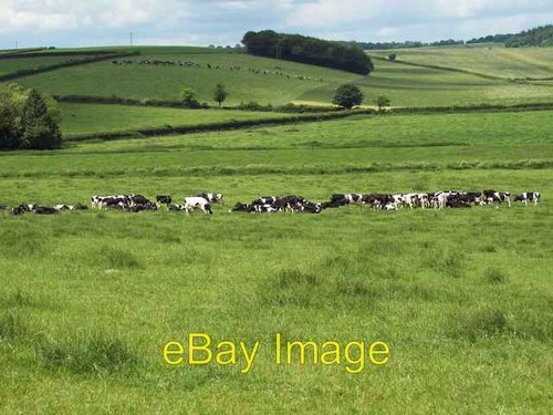 Photo 6x4 meadow ladies - 6x4,