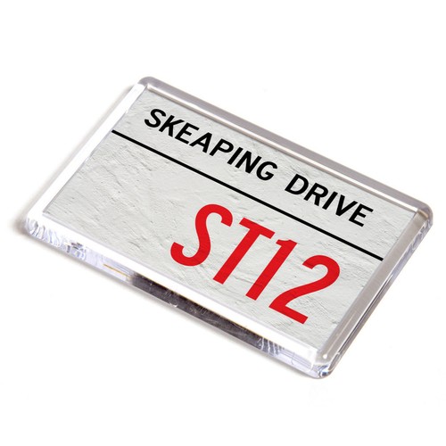 Fridge magnet skeaping drive - -,
