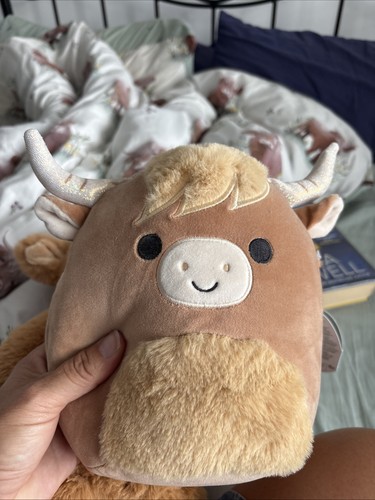 Squishmallows wilfred the - squishmallows,
