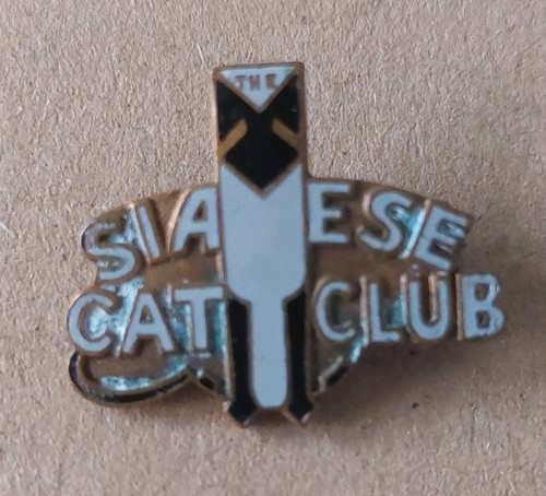 Vintage siamese cat - vintage,