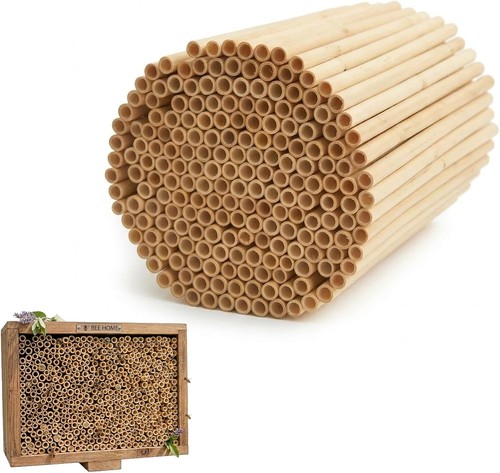 Natural reed mason bee tubes - mason,