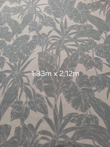 Parlour palm frost by - in,