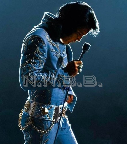 Elvis presley 8 publicity - 8,