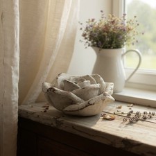 Cement Garden Pretty Rose