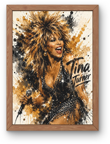 Tina turner poster splash - tina,