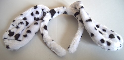 New white dalmation floppy - floppy, dog