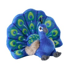 MINI ECO PEACOCK WILD REPUBLIC