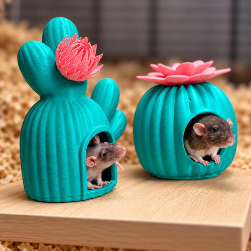 Cactus rat cage - rat,
