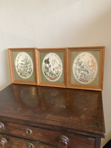 Botanical prints british - botanical,