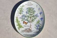 Royal Worcester Herbs Rosemary