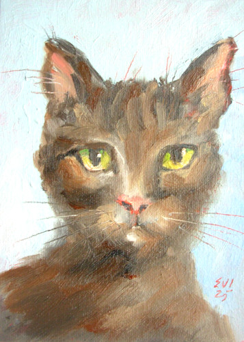 Cat framed original oil - cat,