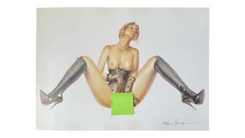 Hajime sorayama erotic - sorayama,
