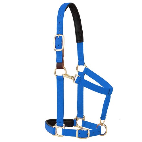 Weaver equine breakaway halter - weaver,