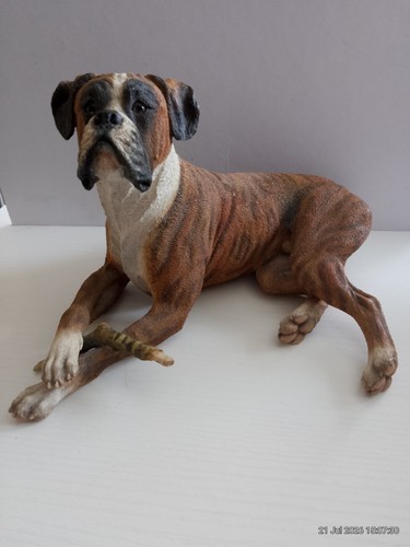 Country breeds boxer dog - breeds,