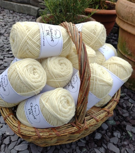 Cheviot pure breed natural - breed, dk