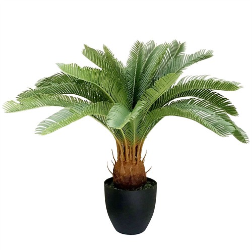 Artificial tropical cycas - cycas, palm