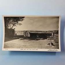 Bodmin Cornwall Postcard C1950 Real Photo Webb Down Farm Old Dog By Ellis