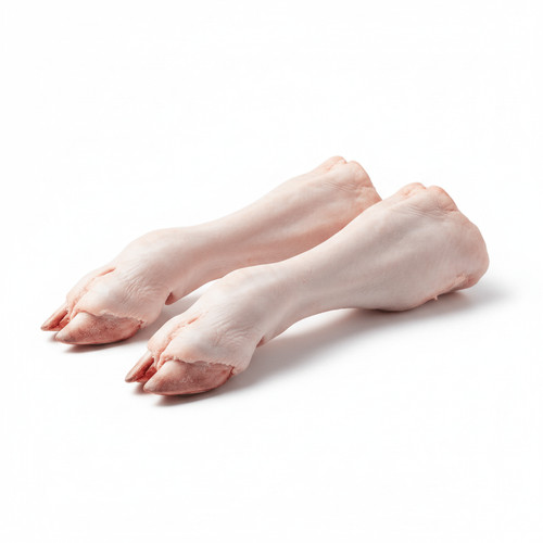 Frozen cow foot leg bone - cow, in