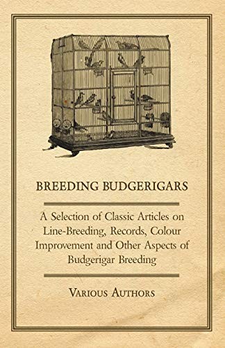 Breeding budgerigars a - breeding,
