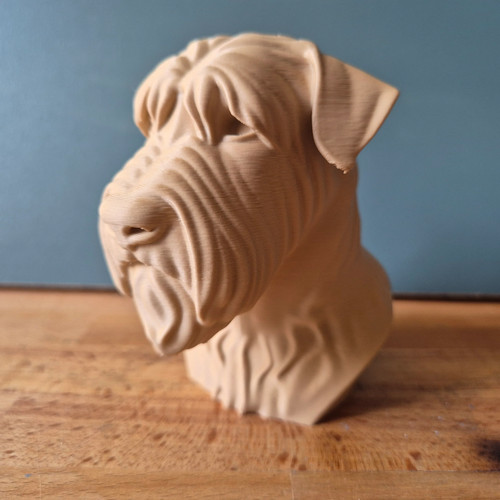 Soft coated wheaten terrier - soft,