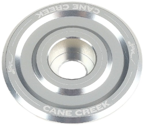 Cane creek hellbender - cane,