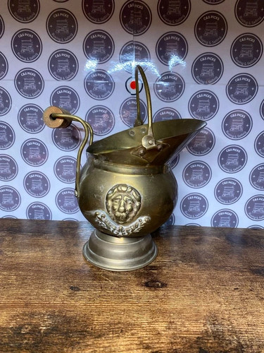 Vintage lion brass - vintage,