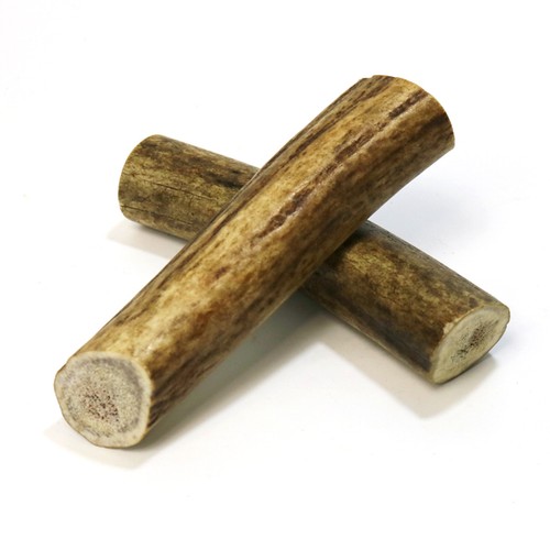 Whole deer antler medium - deer,