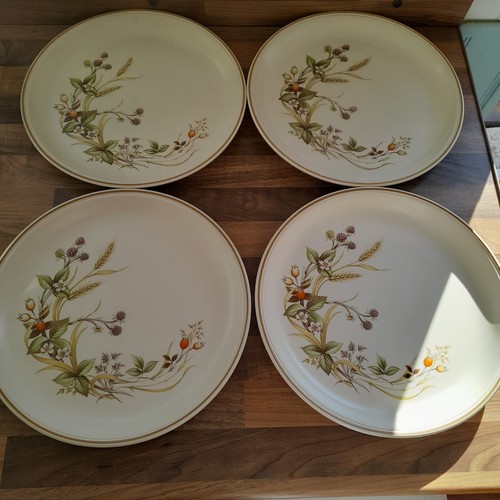 Harvest dinner plates - 4, x