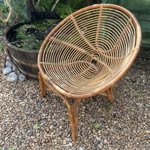 Very old bamboo - very,