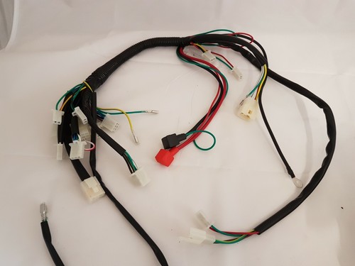 Wir34 complete wiring loom - complete,