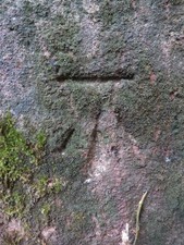 Photo 6x4 Bench mark at the eastern end of Bottoms Lane Chester This benc c2017