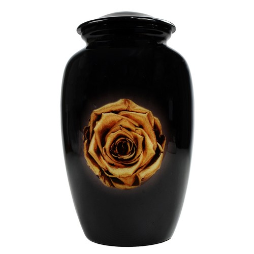 Urns for ashes - for,