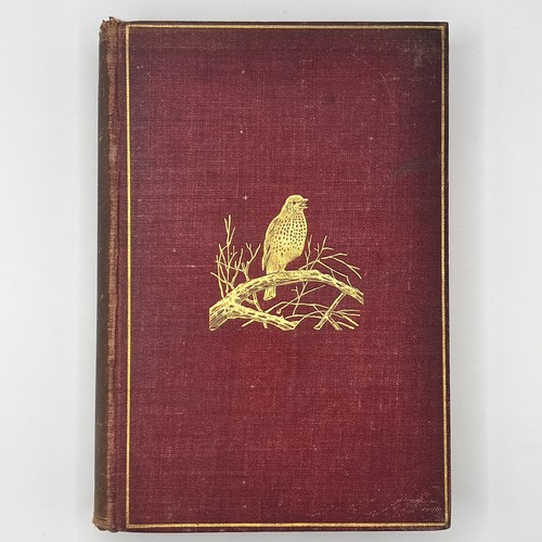 British birds hudson new - british,
