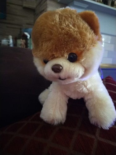 Pom plush dog - pom, 10"