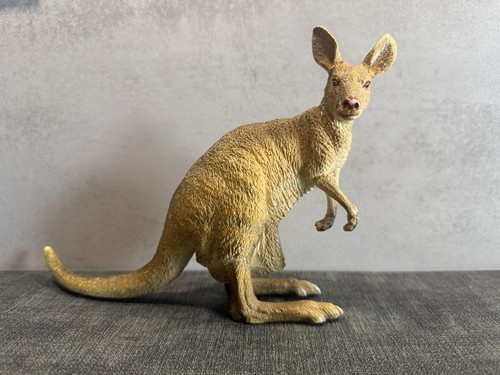 Aaa elc kangeroo wildlife - elc,