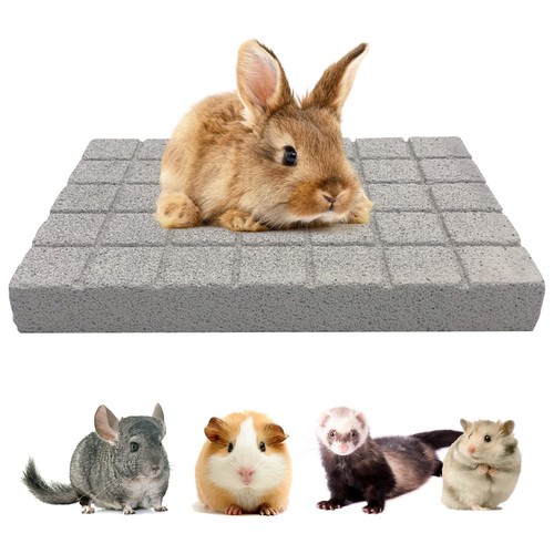 Rabbit grinding claw pads - rabbit,